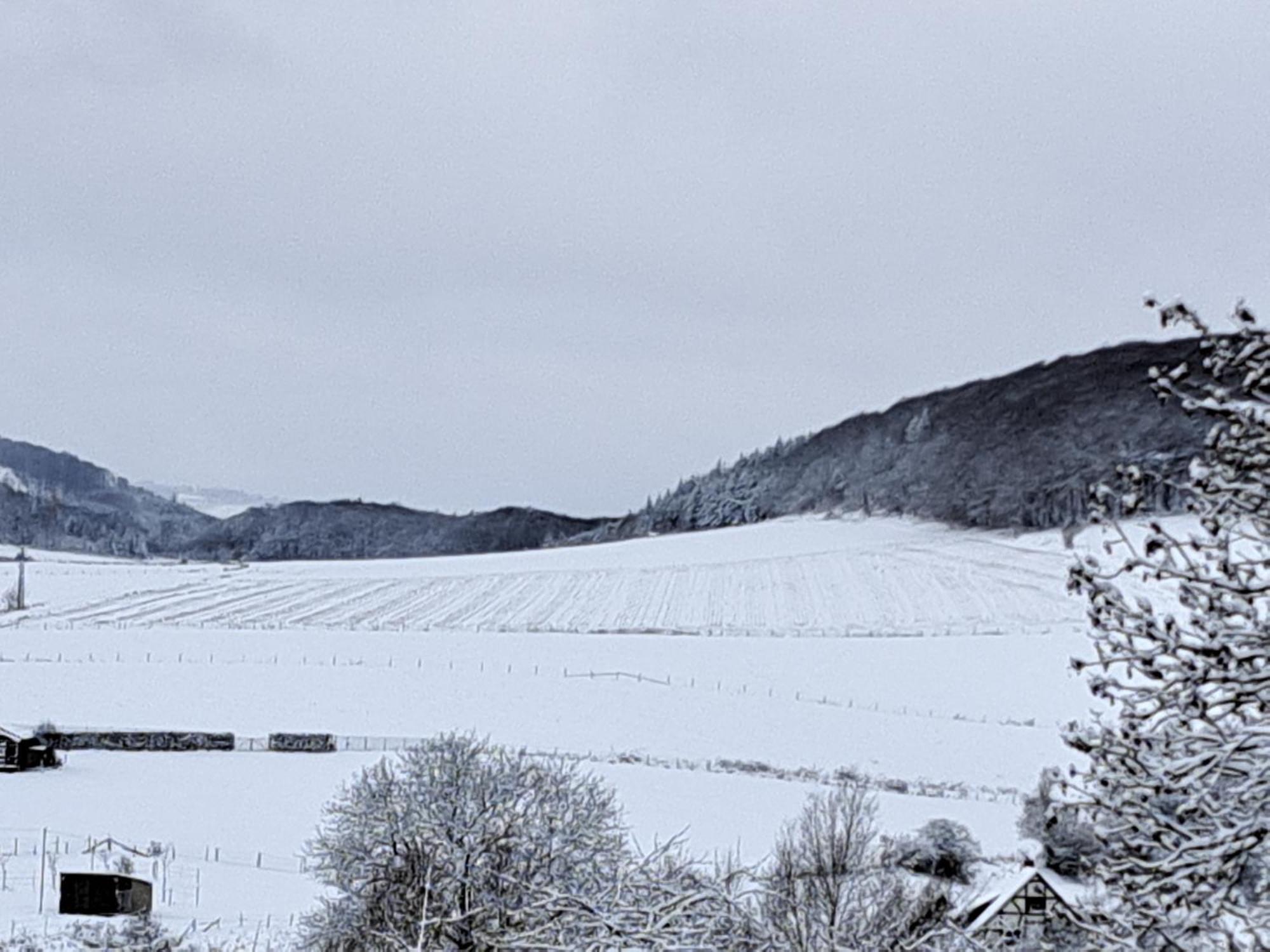 Sauerland-Tinyworld - Ihr Tiny Ferienhaus Im Sauerland Am Diemelsee 外观 照片
