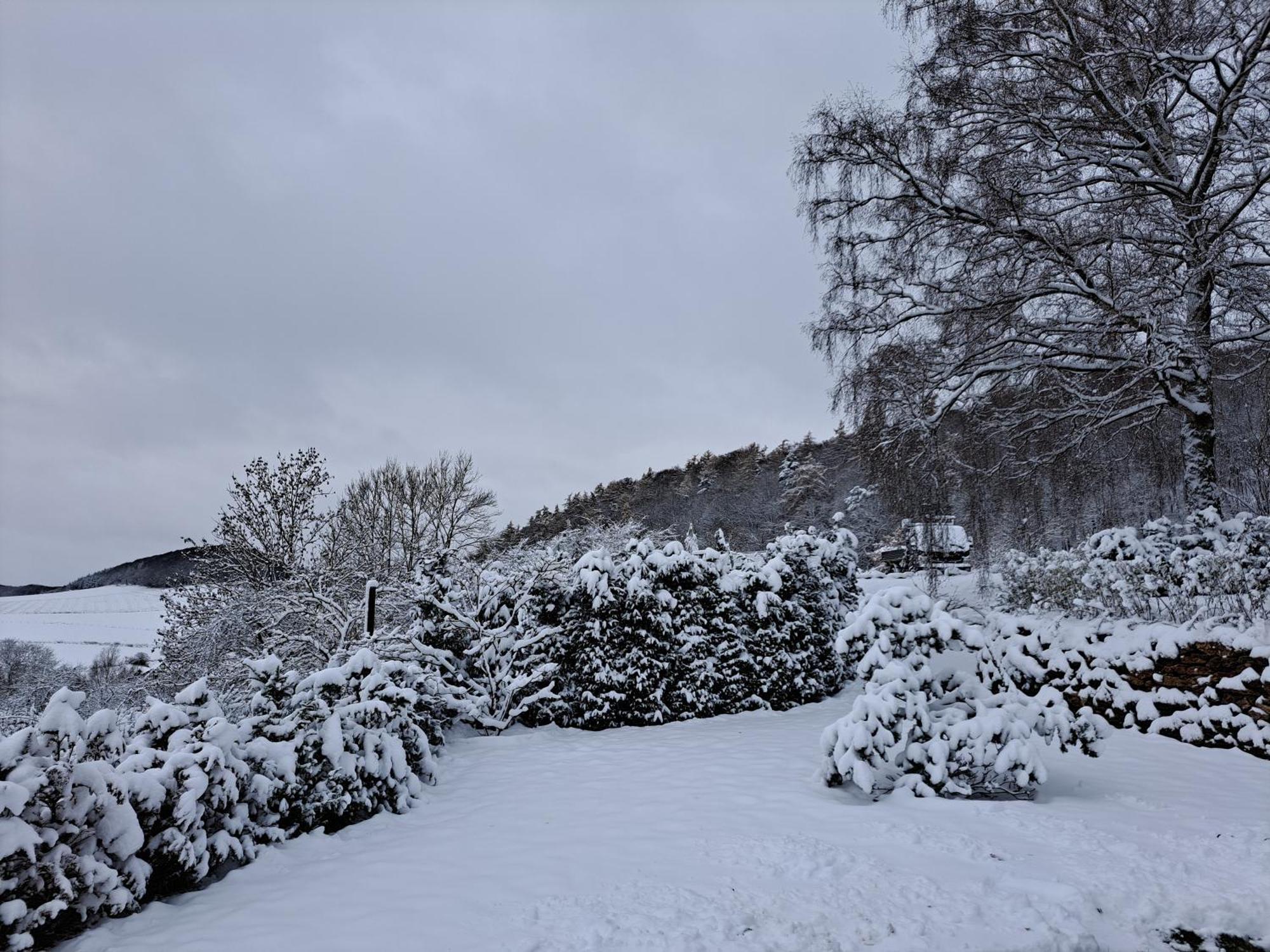 Sauerland-Tinyworld - Ihr Tiny Ferienhaus Im Sauerland Am Diemelsee 外观 照片