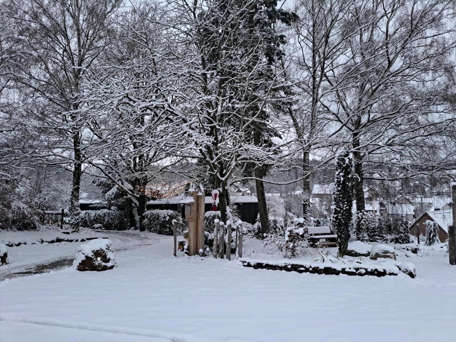 Sauerland-Tinyworld - Ihr Tiny Ferienhaus Im Sauerland Am Diemelsee 外观 照片