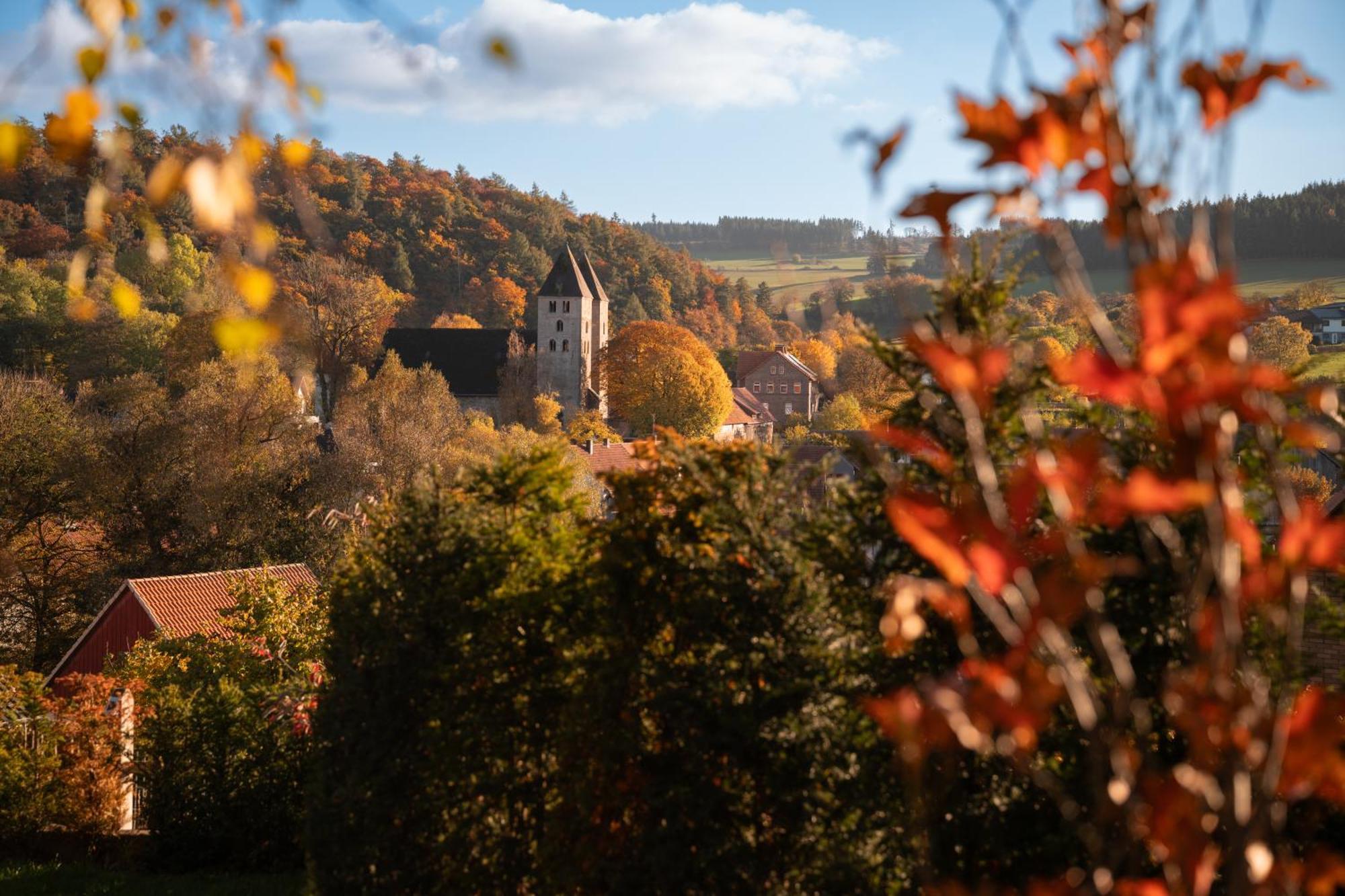 Sauerland-Tinyworld - Ihr Tiny Ferienhaus Im Sauerland Am Diemelsee 外观 照片