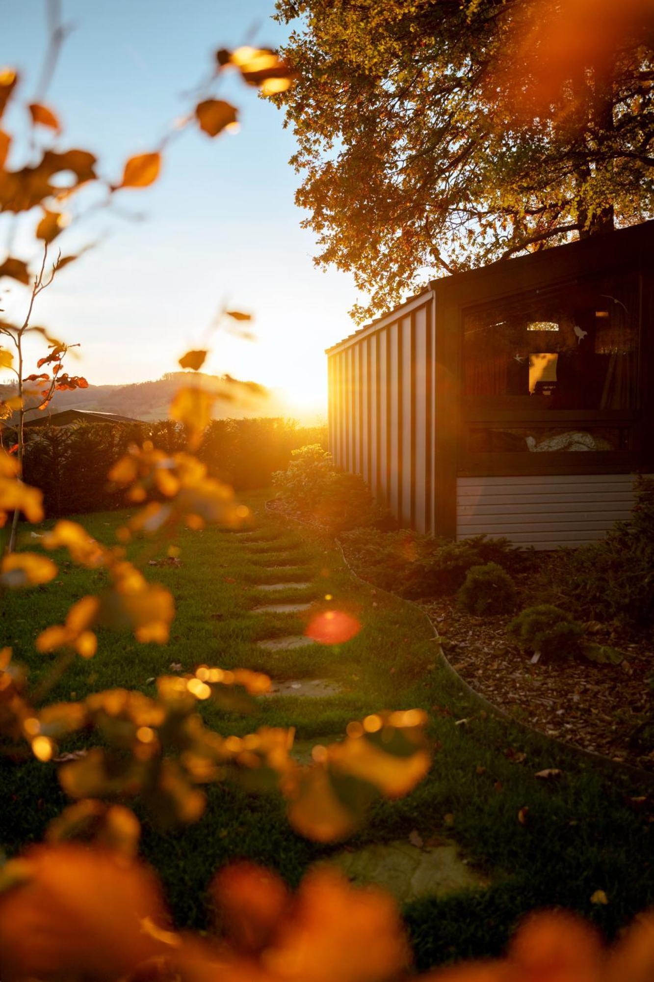 Sauerland-Tinyworld - Ihr Tiny Ferienhaus Im Sauerland Am Diemelsee 外观 照片