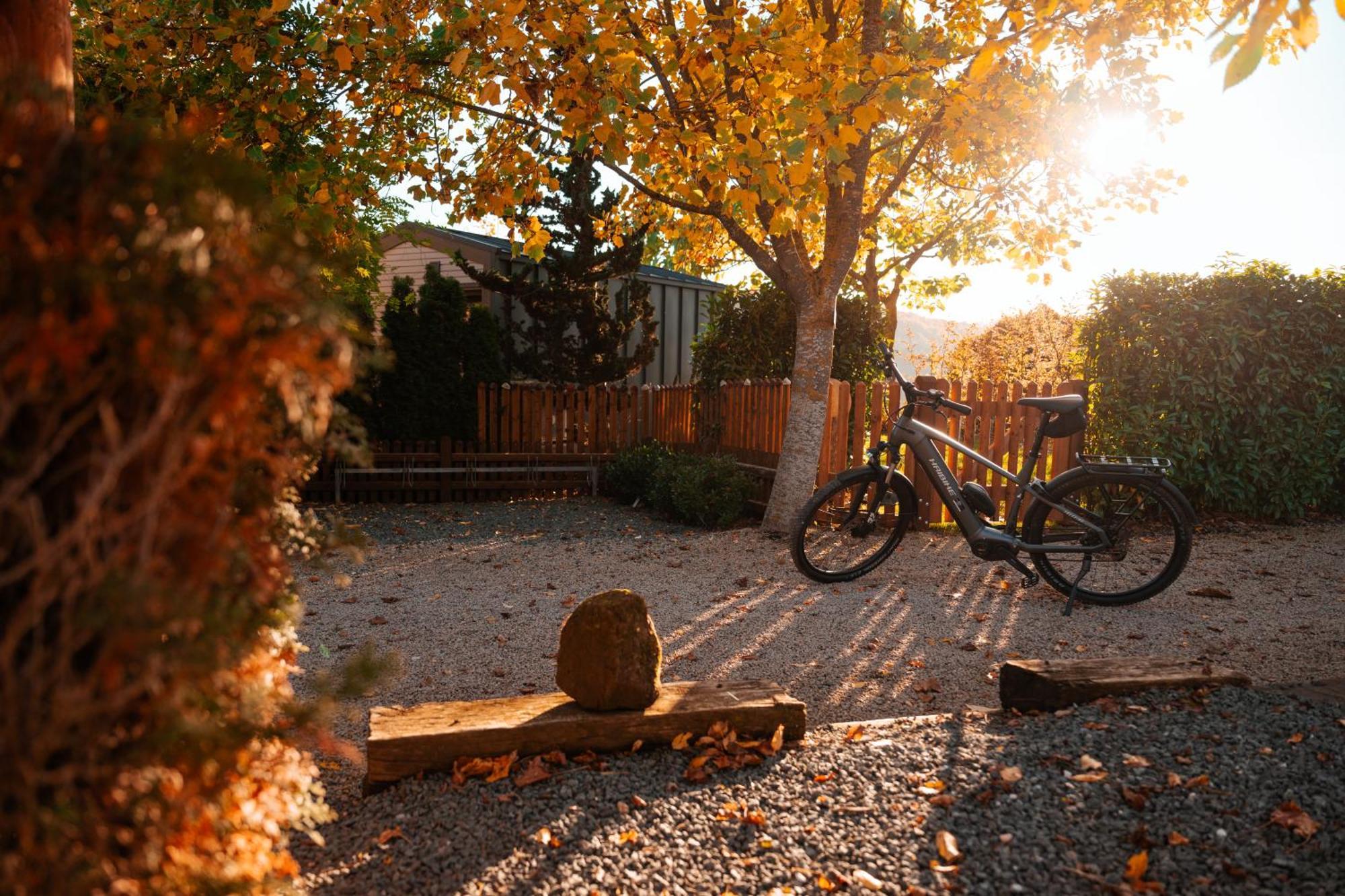 Sauerland-Tinyworld - Ihr Tiny Ferienhaus Im Sauerland Am Diemelsee 外观 照片