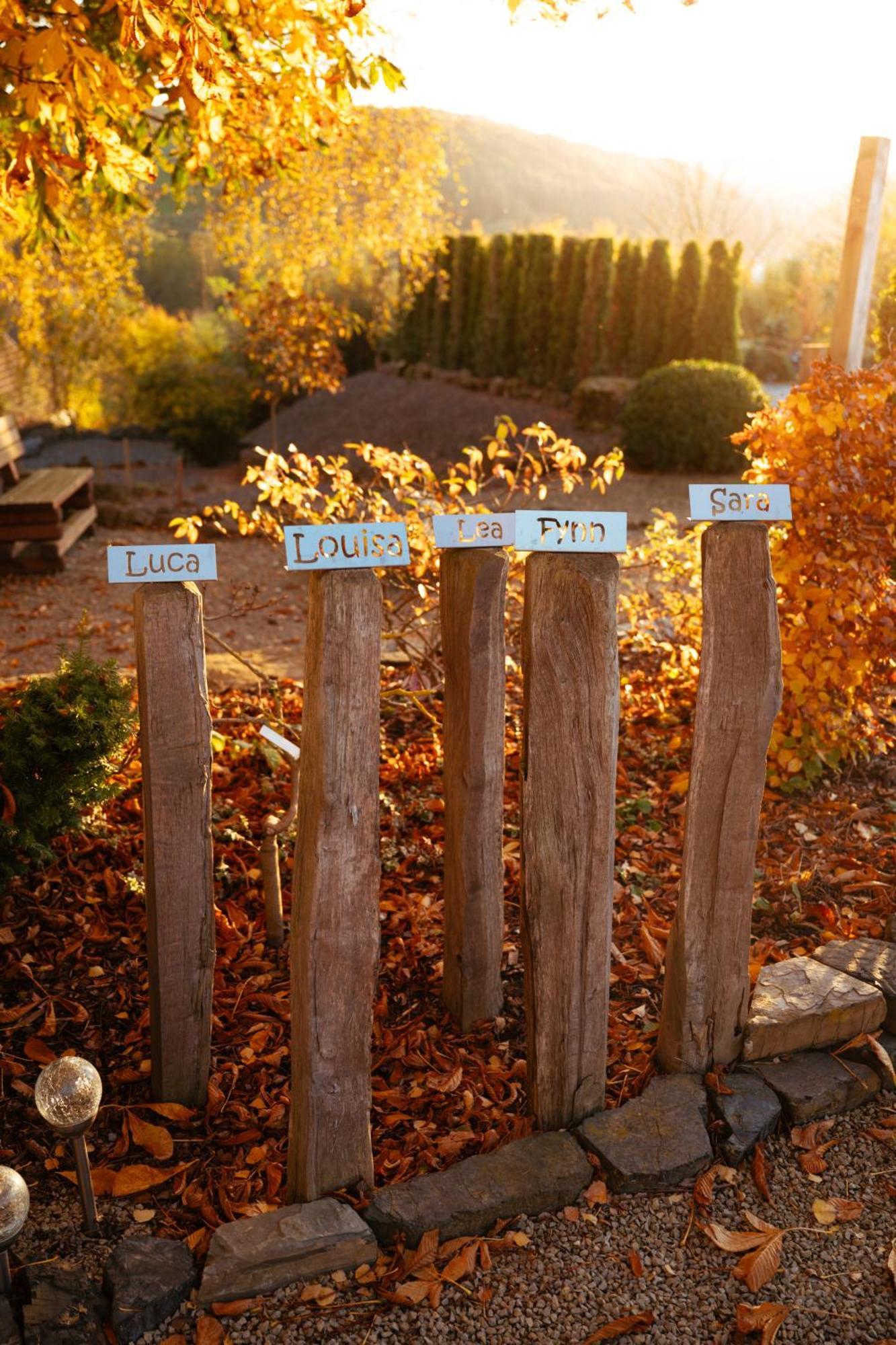 Sauerland-Tinyworld - Ihr Tiny Ferienhaus Im Sauerland Am Diemelsee 外观 照片