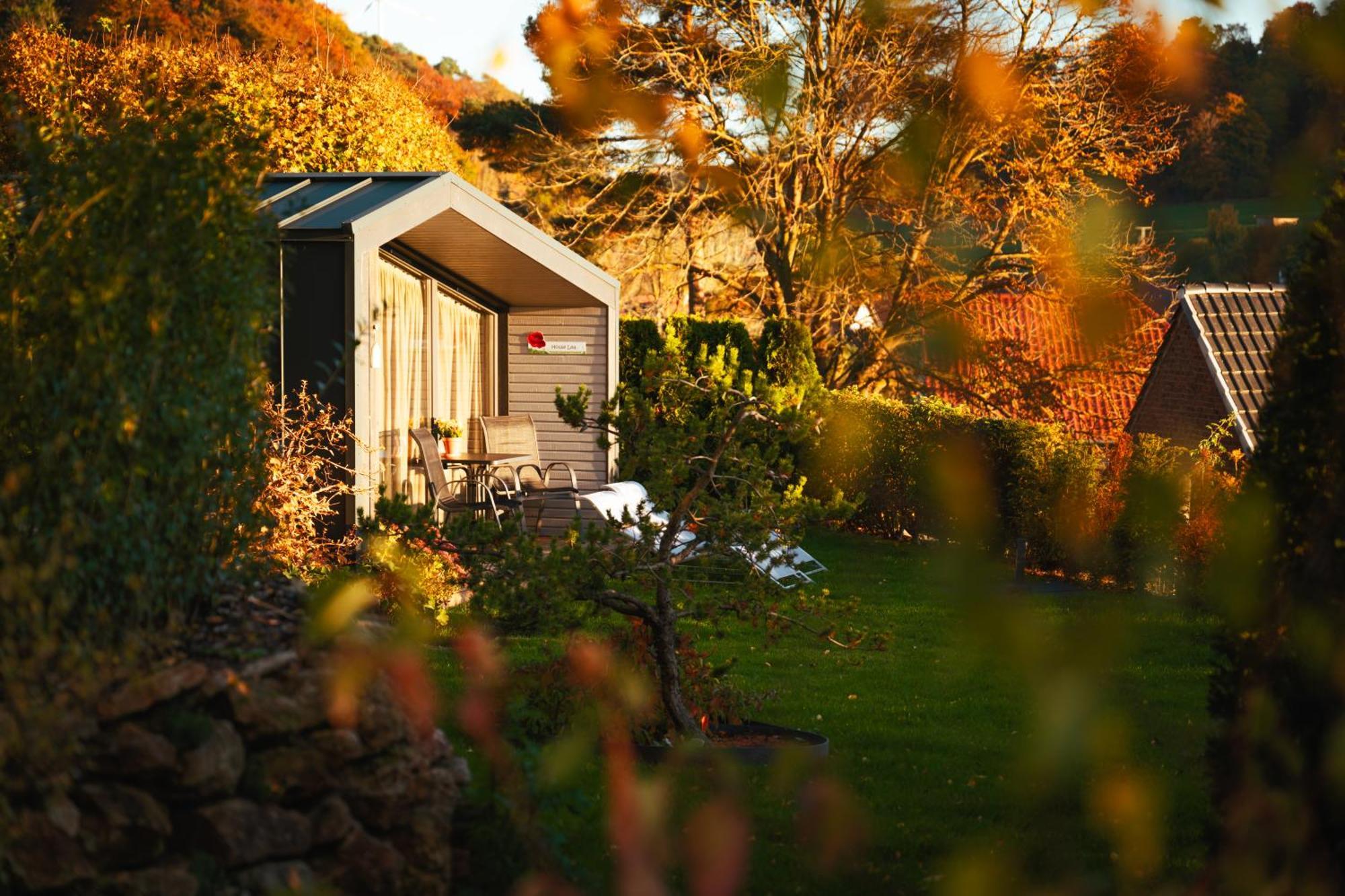Sauerland-Tinyworld - Ihr Tiny Ferienhaus Im Sauerland Am Diemelsee 外观 照片