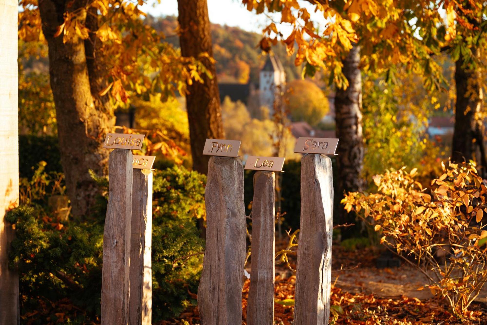 Sauerland-Tinyworld - Ihr Tiny Ferienhaus Im Sauerland Am Diemelsee 外观 照片