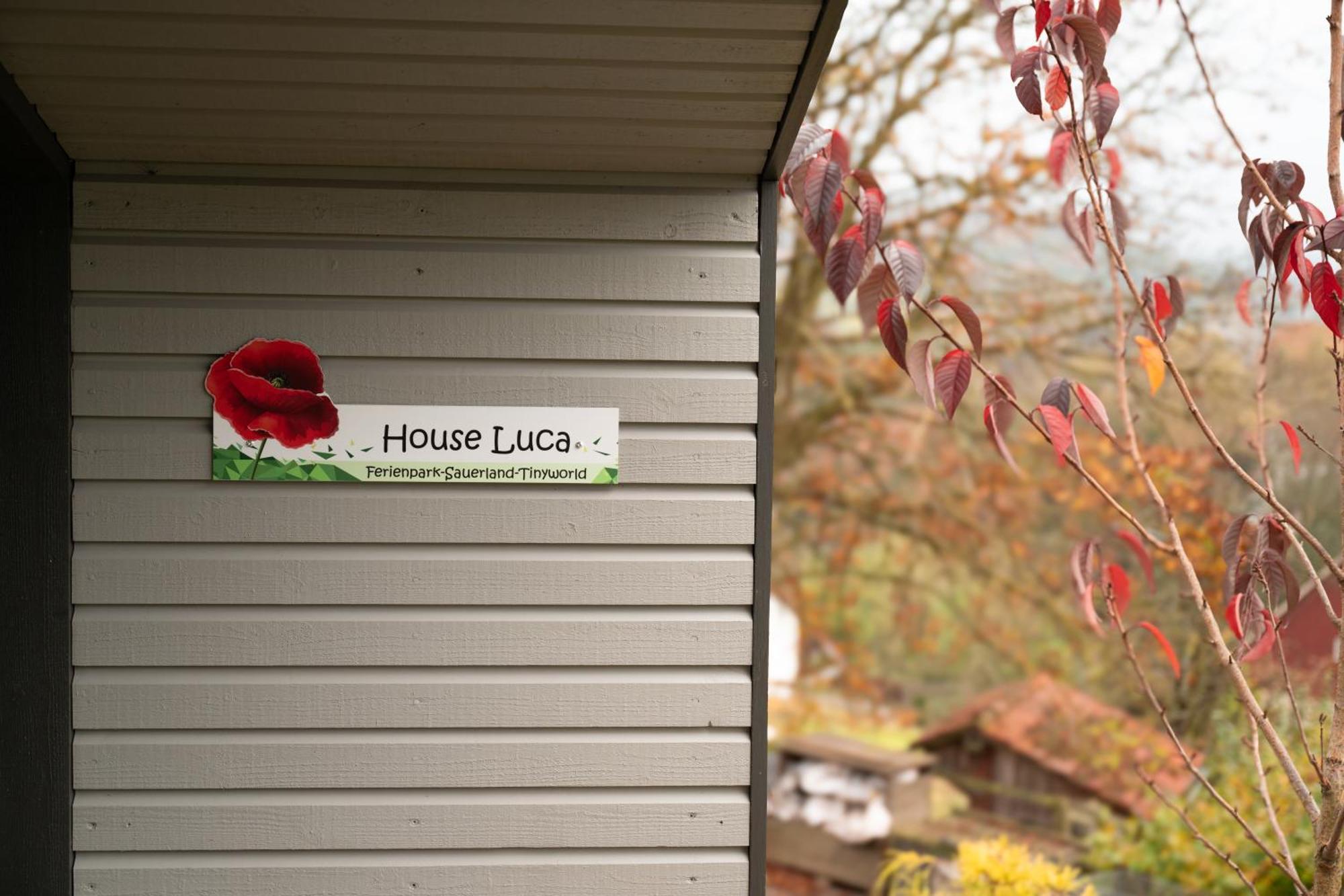 Sauerland-Tinyworld - Ihr Tiny Ferienhaus Im Sauerland Am Diemelsee 外观 照片
