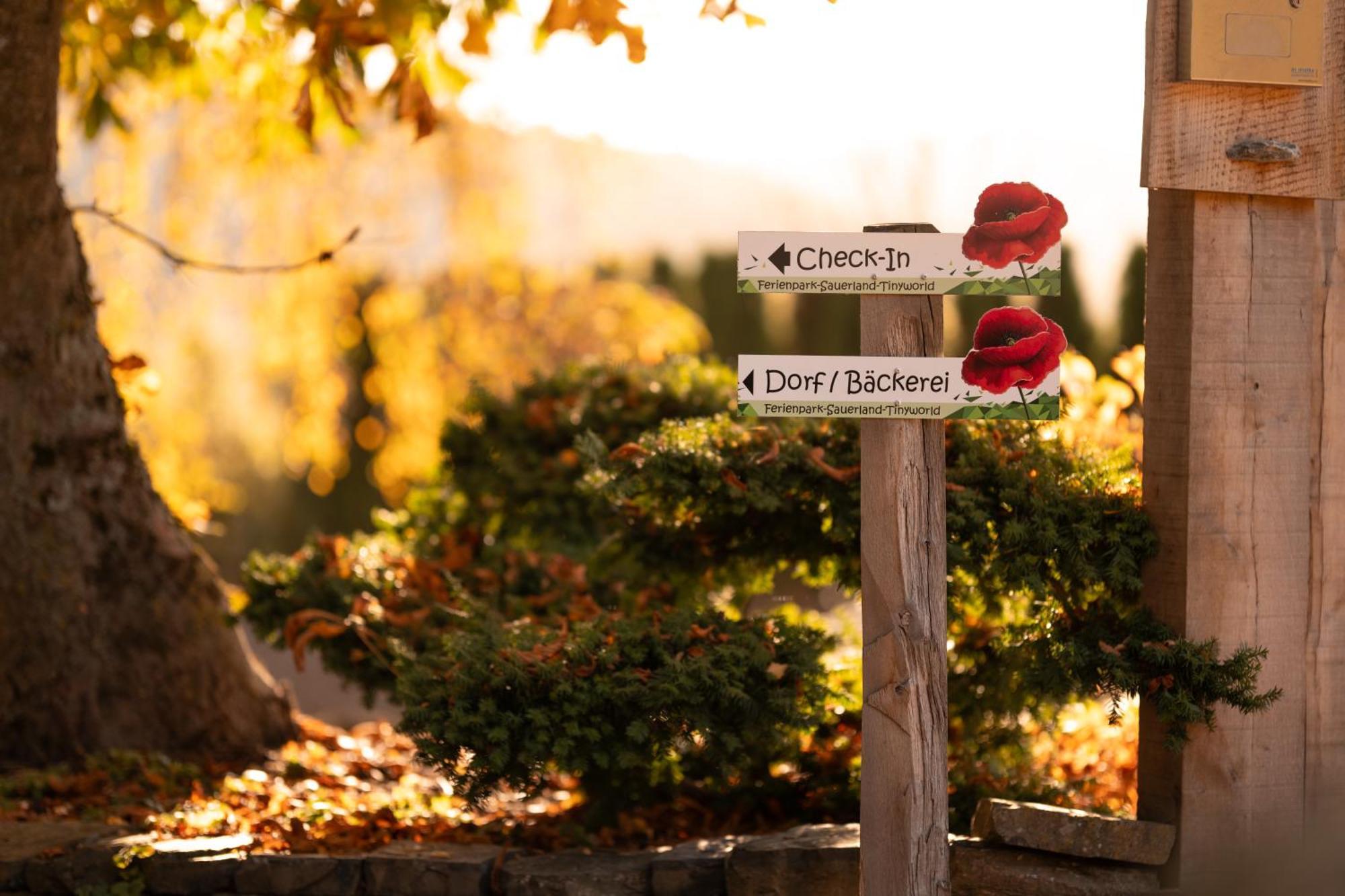 Sauerland-Tinyworld - Ihr Tiny Ferienhaus Im Sauerland Am Diemelsee 外观 照片