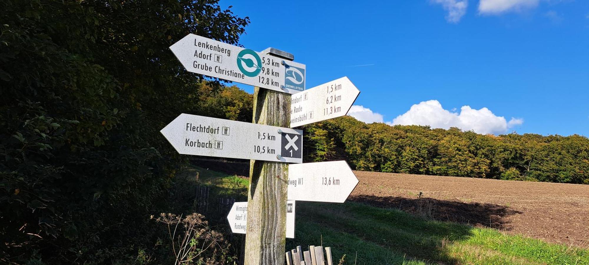 Sauerland-Tinyworld - Ihr Tiny Ferienhaus Im Sauerland Am Diemelsee 外观 照片