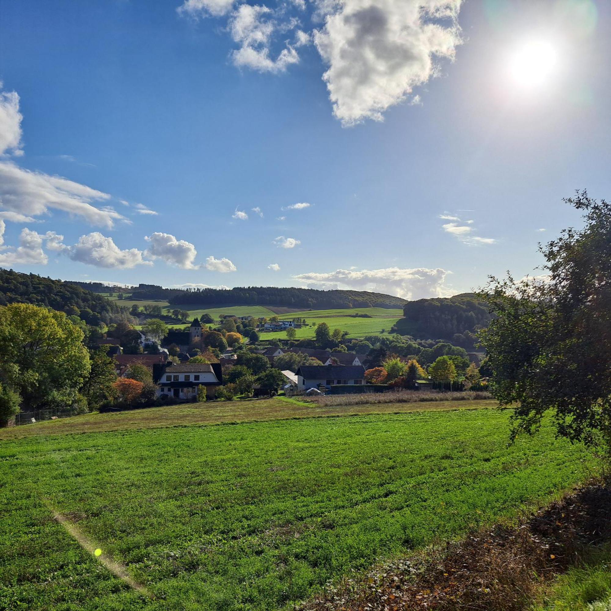 Sauerland-Tinyworld - Ihr Tiny Ferienhaus Im Sauerland Am Diemelsee 外观 照片