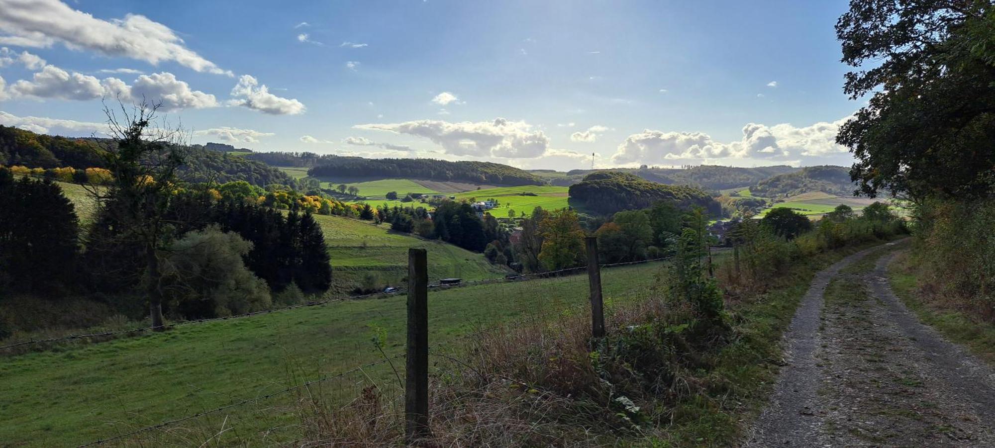 Sauerland-Tinyworld - Ihr Tiny Ferienhaus Im Sauerland Am Diemelsee 外观 照片