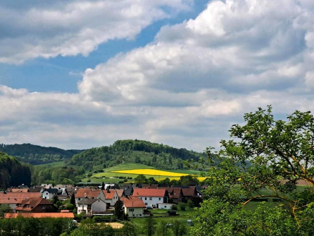 Sauerland-Tinyworld - Ihr Tiny Ferienhaus Im Sauerland Am Diemelsee 外观 照片